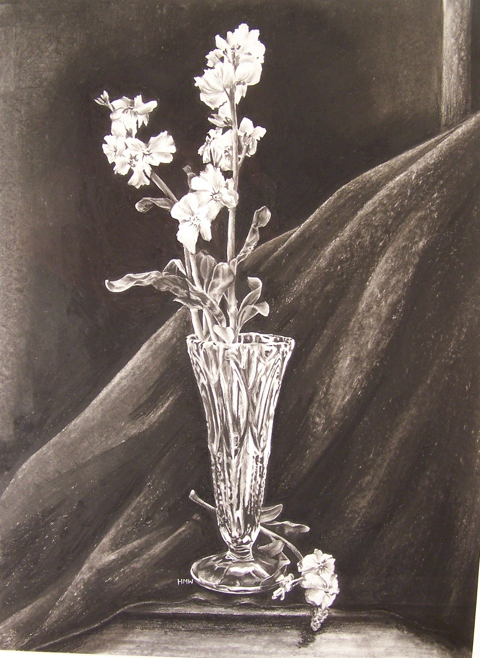 A still life charcoal drawing of a vase with flowers. The background consists  of a strong diagonal of fabric cascading from the upper right hand side. Above the cloth on the right, is a vertical object like a doorway or broomstick. The vase and flowers take up the entire vertical space of the piece and are situated in the center of the drawing. It’s a tall, thin crystal vase and two sprigs of flowers, rest on the left side of the vase. On the right side of the vase’s base there is a final, shorter sprig of flowers that is cropped off at the bottom. The light values of the flowers and vase constrast heavily with the dark cloth and background. The background beyond the fabric is denser and darker around the flowers, almost making them glow.
