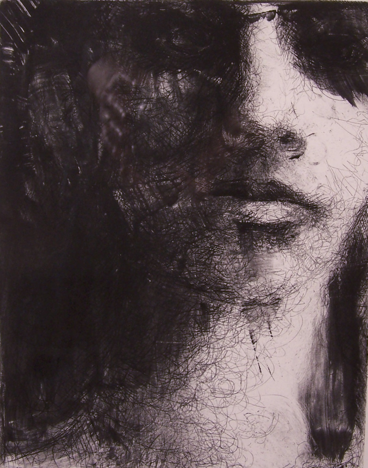 A print of a face from the lower neck to the eyebrows. It has very sketchy marks and areas of dense ink. The nose, eyes and chin are rendered fairly clearly, but the eyes and sockets are dark along with the left side of the print and to the right of the neck. There is a lot of movement due to the mark making.