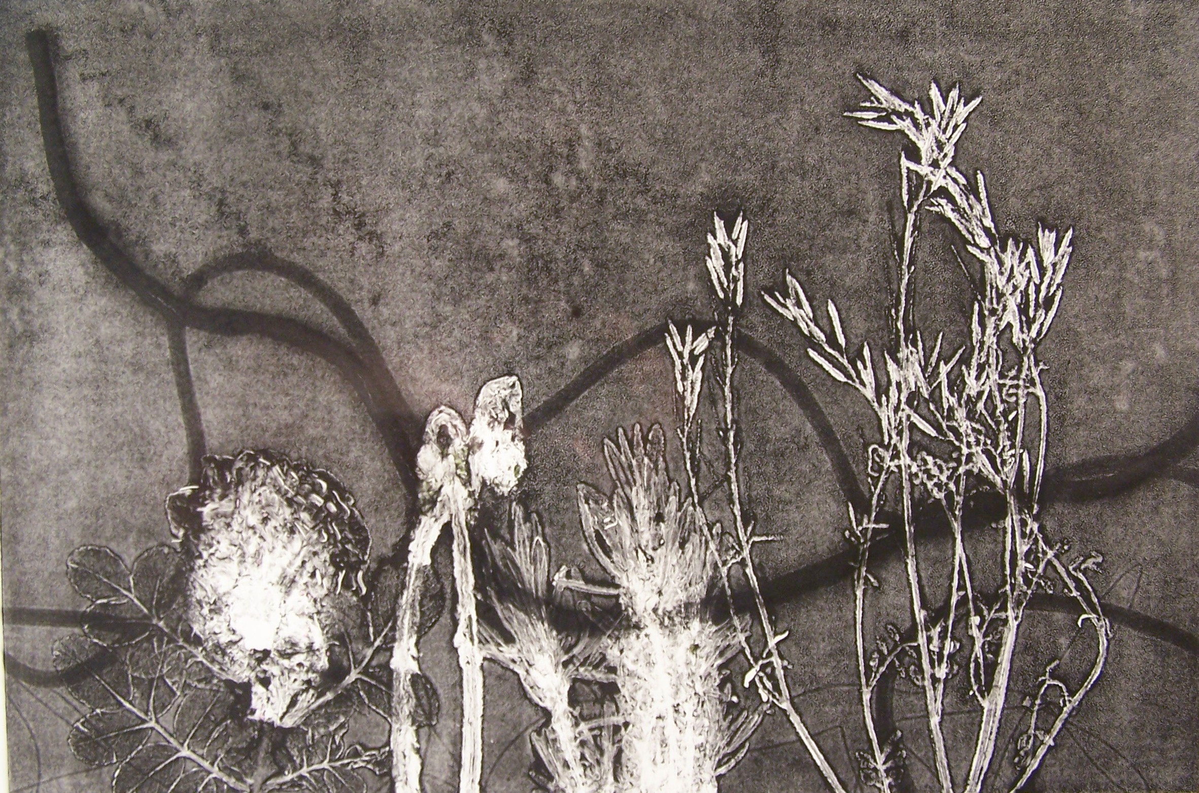 This black and white print appears to be a collagraph. The medium gray background has four darker lines meandering and intersecting throughout the work and other faint textures in the background The bottom has multiple white, negative shapes of natural plant forms that create a visual diagonal from the lower left towards the upper right of the print. This implied line is balanced by the darker lines.