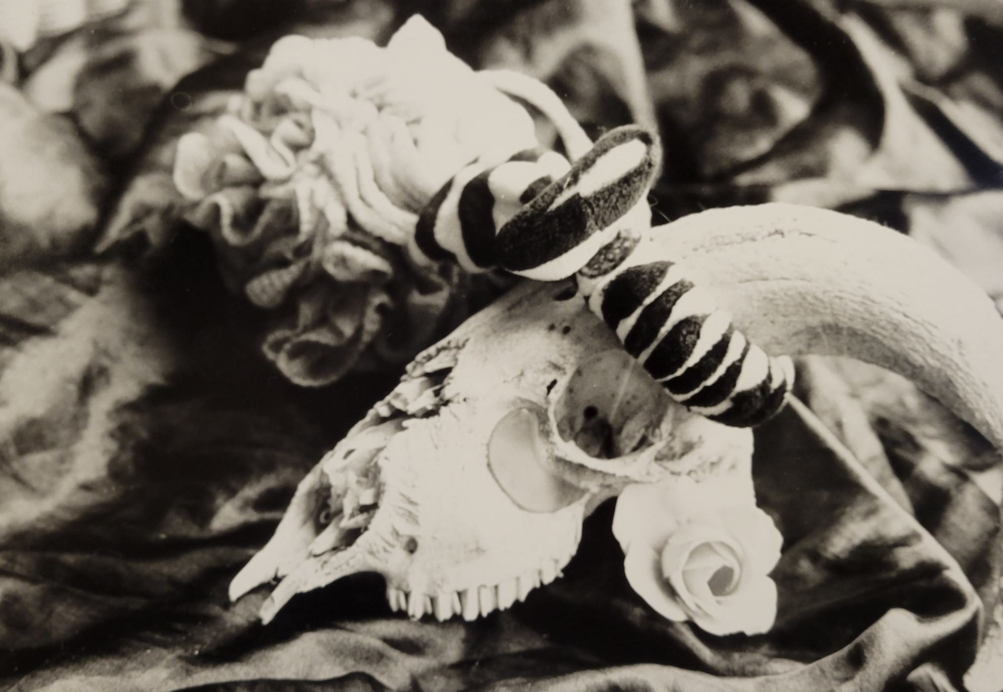 Photo by Sinclair Fine Art Student