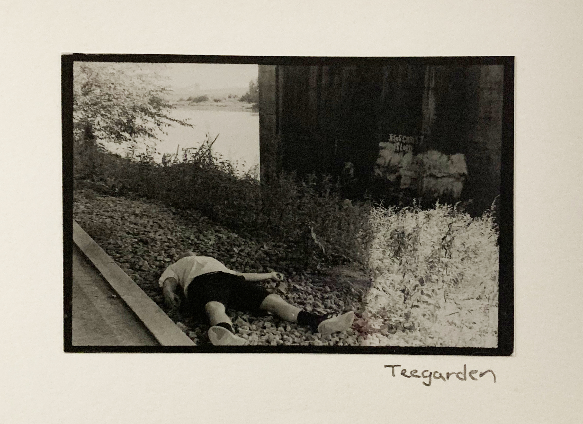 Photo by Michael Teegarden