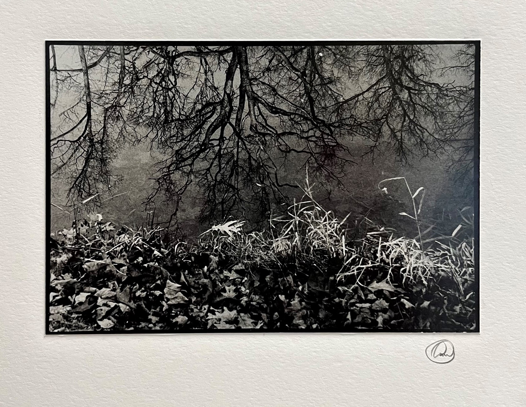 Photo by Annette Campbell