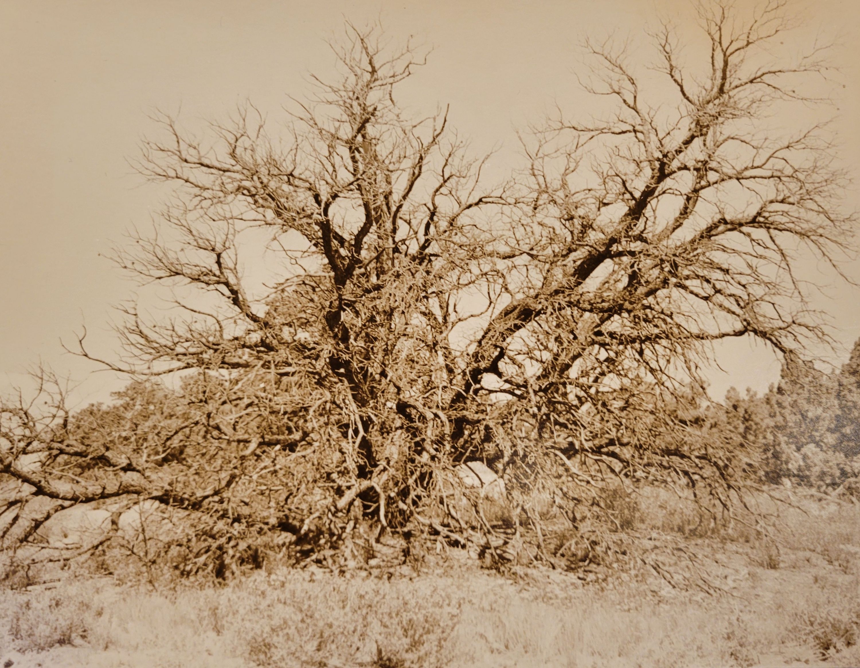 Photo by Sinclair Fine Art Student