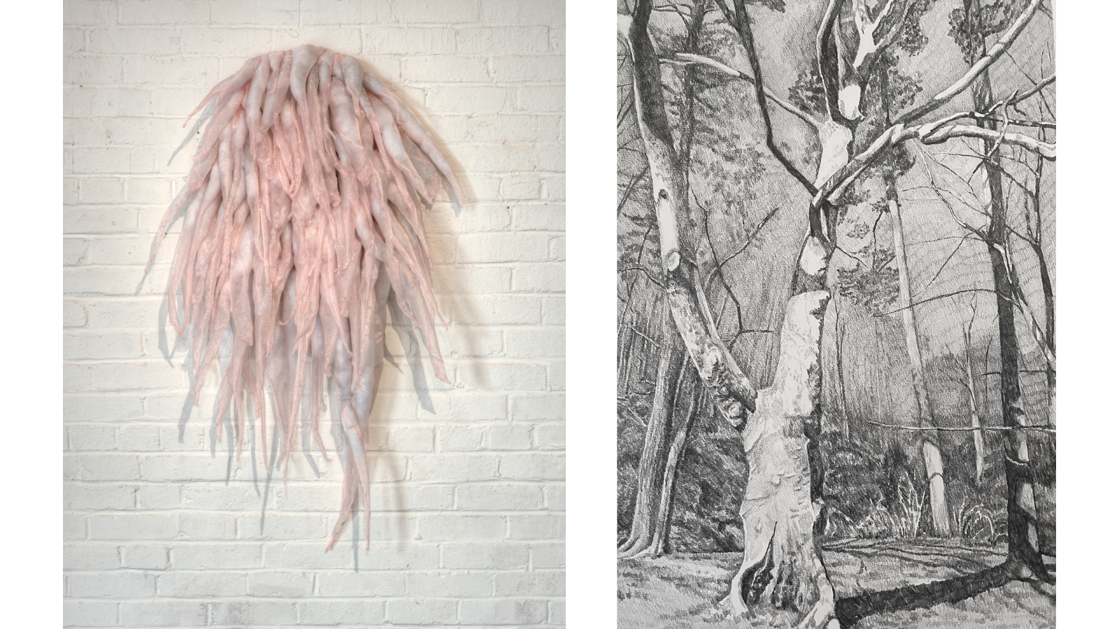 Liz Quay, “Exposed Nerves,” 2024, Polyester organza, poly-fil, thread, wire, & tulle, 48 x 22 x 10 in. (left) Jayne Struble, “Hollow,” 2024, Graphite on Paper, 20 x 14 in. (right)