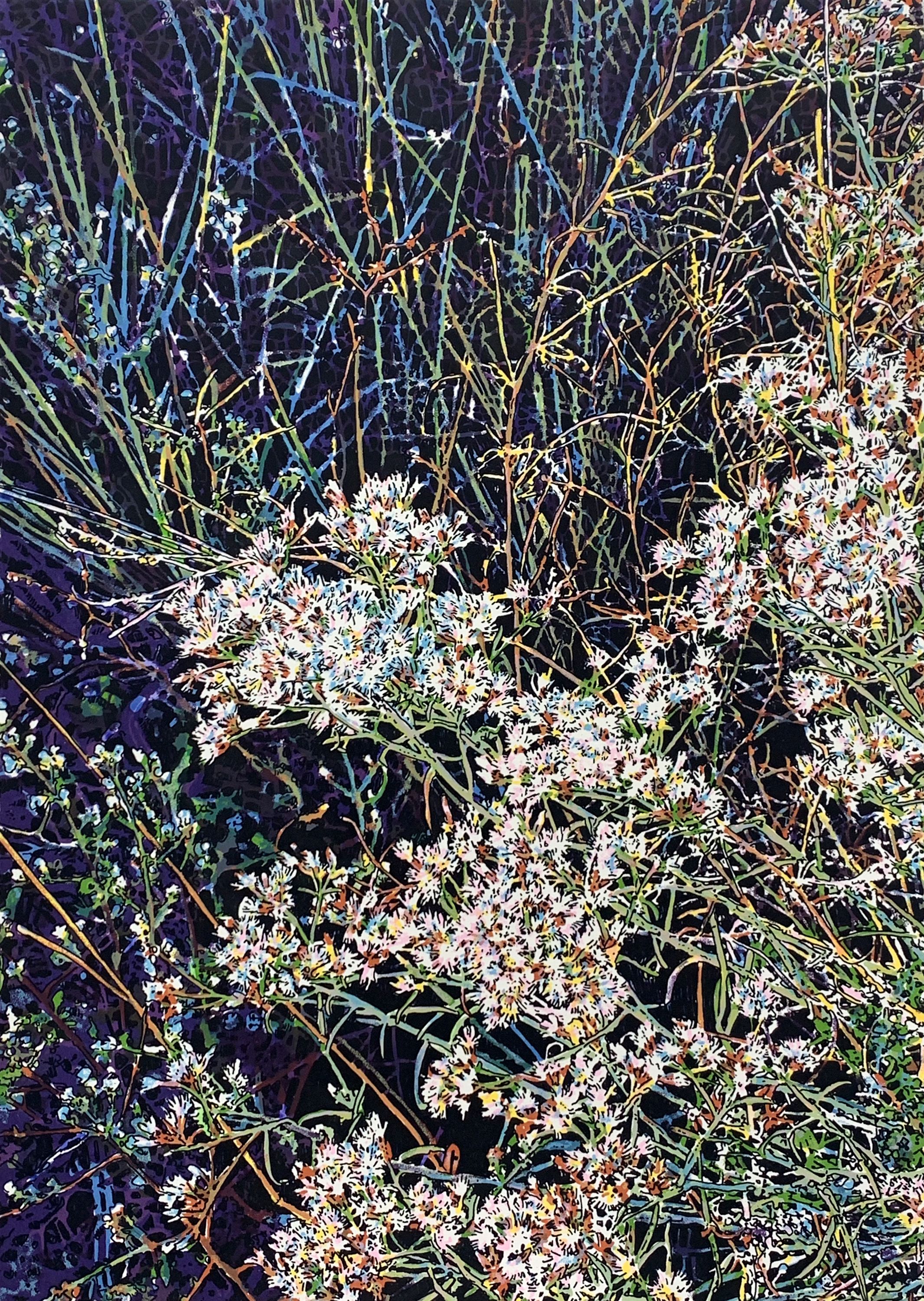 Kathy McGhee, “Dwarf Blue Rabbitbrush,” 2025, Silkscreen Print, 13 x 9 in.