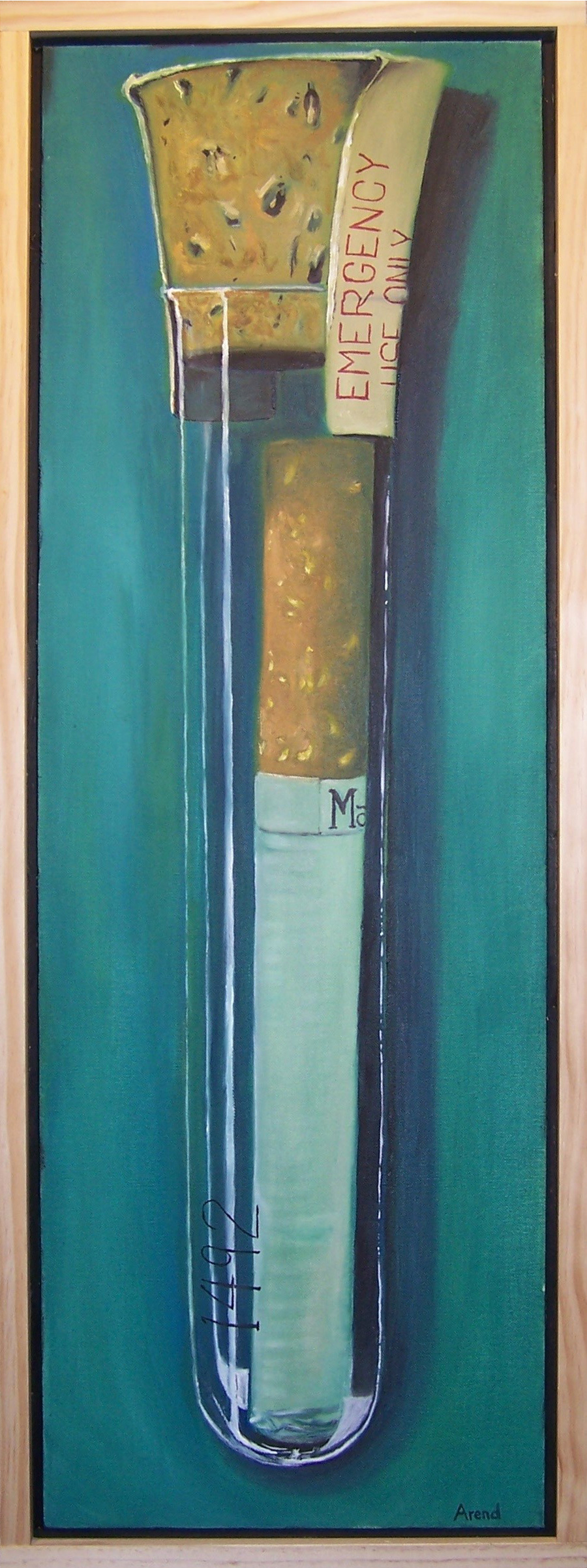 This art piece is named ‘Safe for Emergencies'